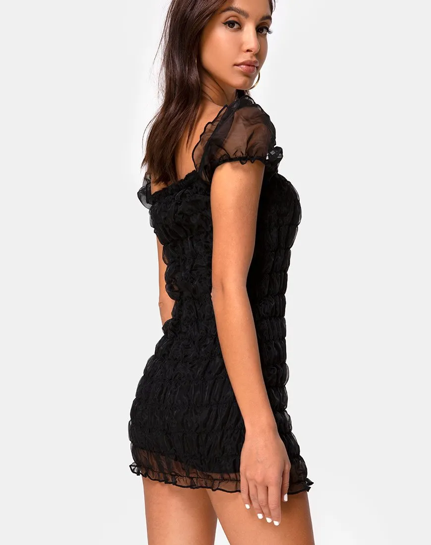 Lenira Dress in Black Organza