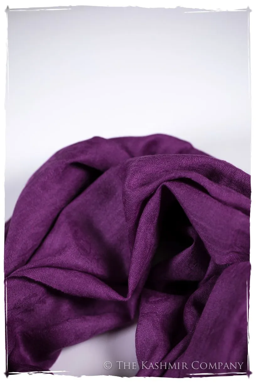 Purple Wine Paisley Kashmir Wool Scarf