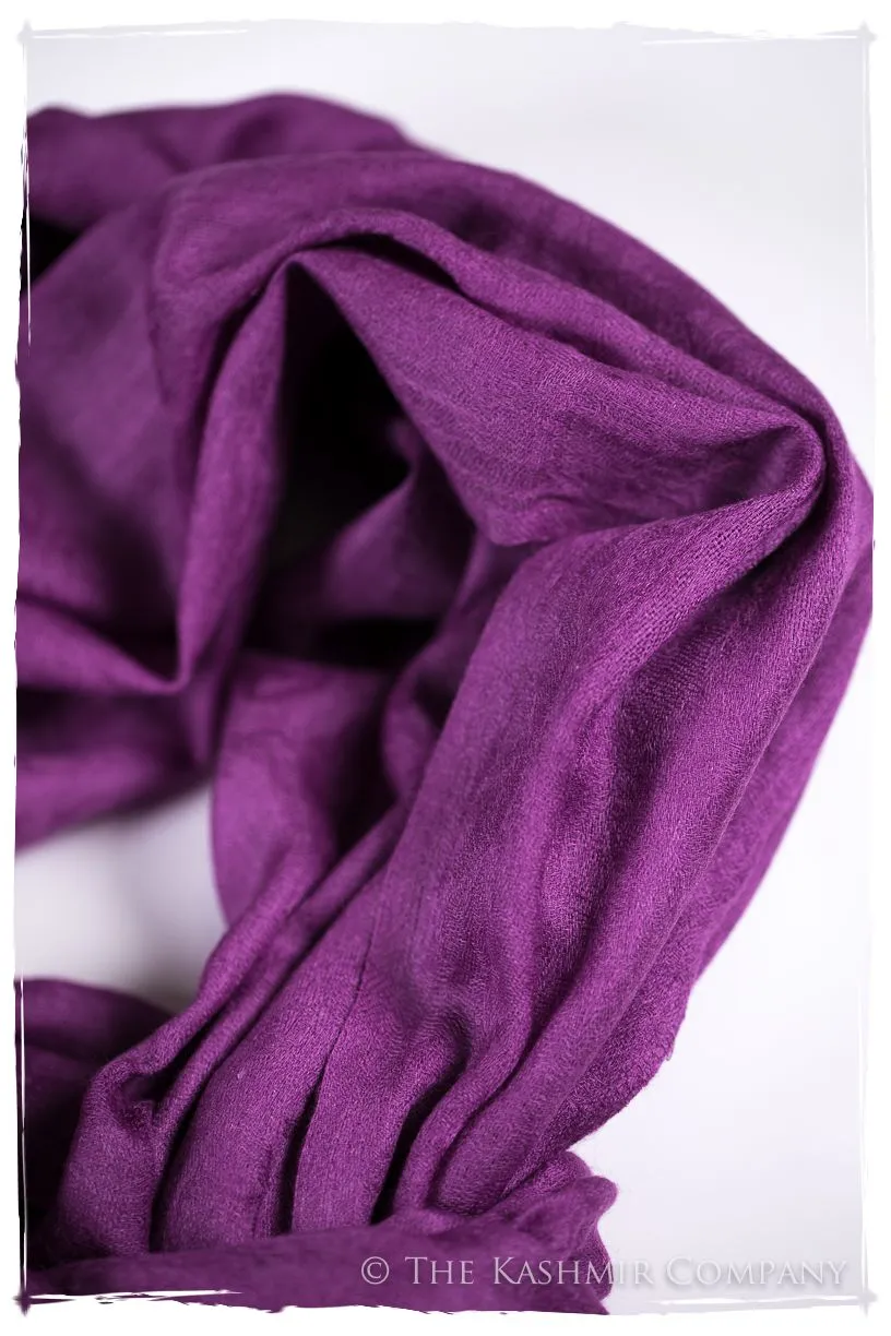 Purple Wine Paisley Kashmir Wool Scarf