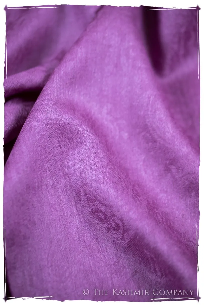 Purple Wine Paisley Kashmir Wool Scarf